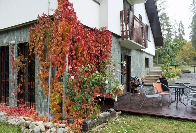 Basic-huone, Chaty Tatra