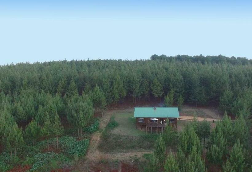 スタンダードシングルルーム, Stanford Lake Lodge