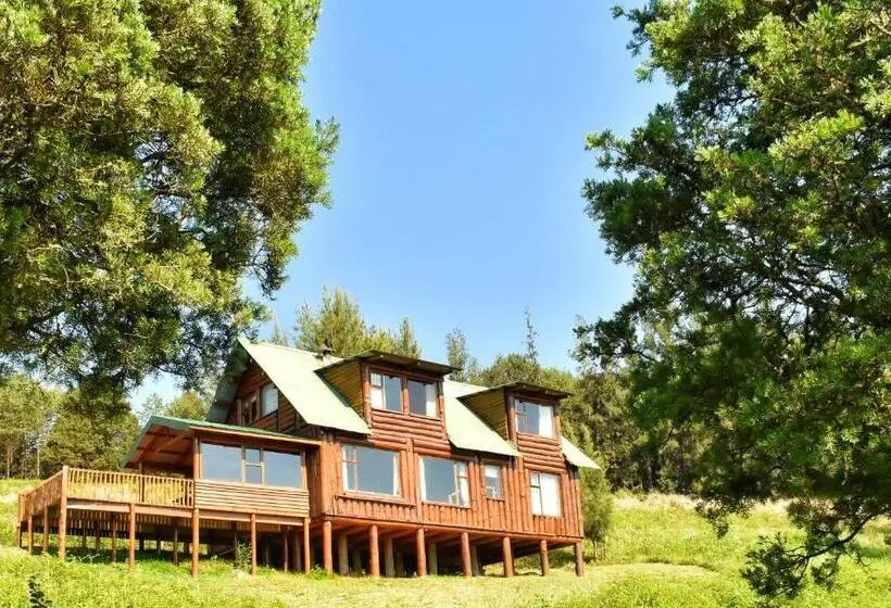 キャビン, Stanford Lake Lodge