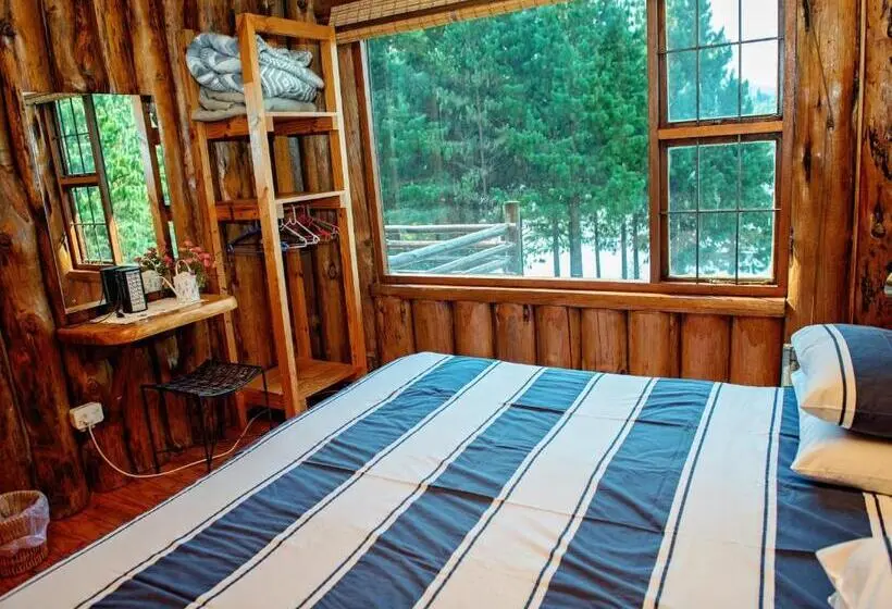 スタンダードシングルルーム, Stanford Lake Lodge