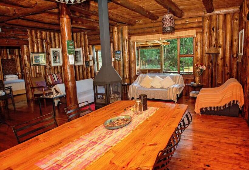 スタンダードシングルルーム, Stanford Lake Lodge