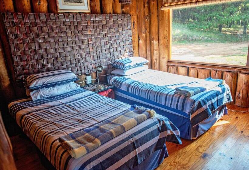 スタンダードシングルルーム, Stanford Lake Lodge