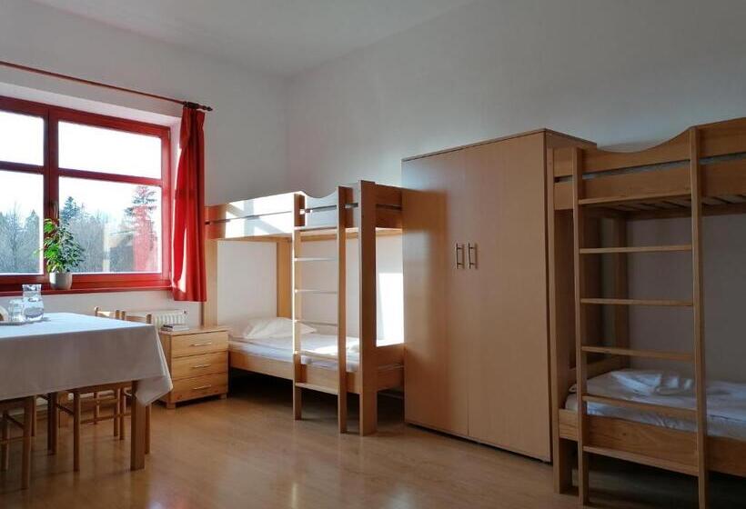 בקתת סופריור בת חדר 1, Erzsébet Szálló