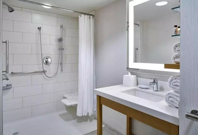 身障者適用スタンダードルーム, Delta Hotels By Marriott Norfolk Airport