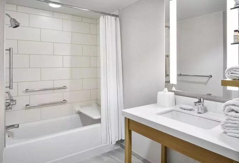 身障者適用キングサイズベッドルーム, Delta Hotels By Marriott Norfolk Airport