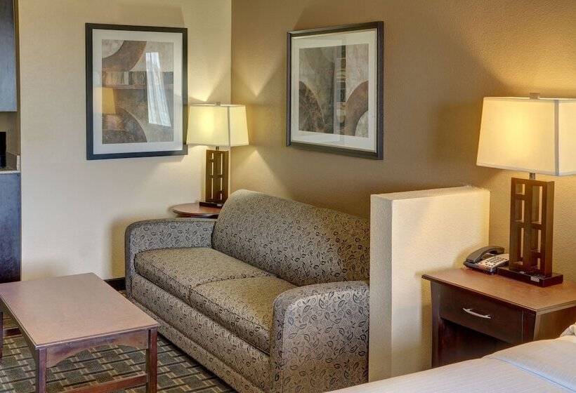 Люкс, Holiday Inn Express Hotel & Suites Texarkana East, An Ihg