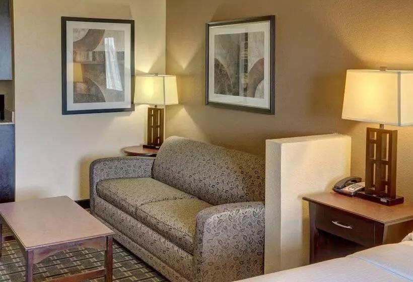 سوییت, Holiday Inn Express Hotel & Suites Texarkana East, An Ihg