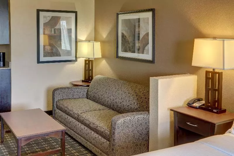 سوئیت با تخت بزرگ, Holiday Inn Express Hotel & Suites Texarkana East, An Ihg