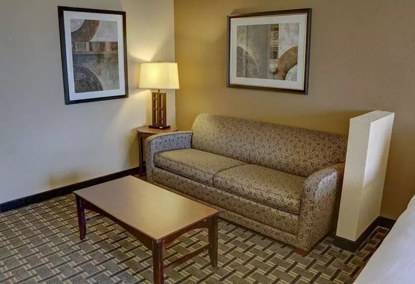 سوییت, Holiday Inn Express Hotel & Suites Texarkana East, An Ihg