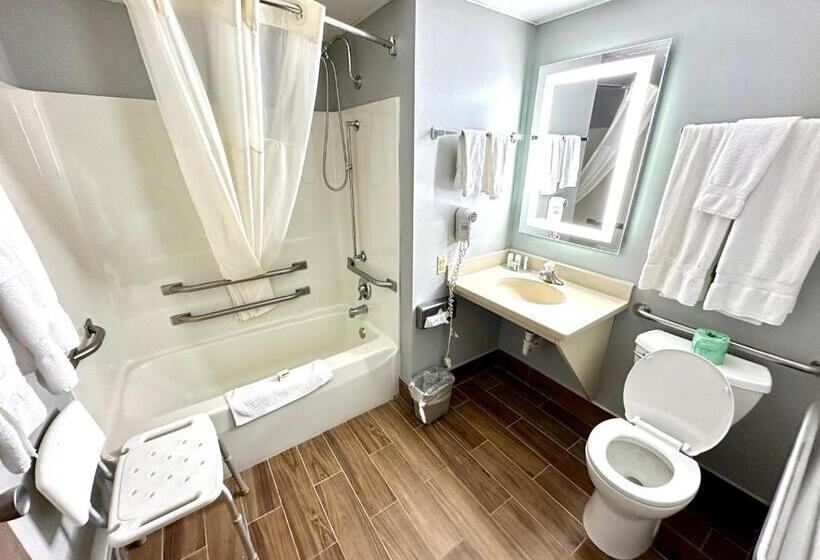 残疾人使用的带特大床的标准间, Americinn & Suites By Wyndham Baraboo Event Center