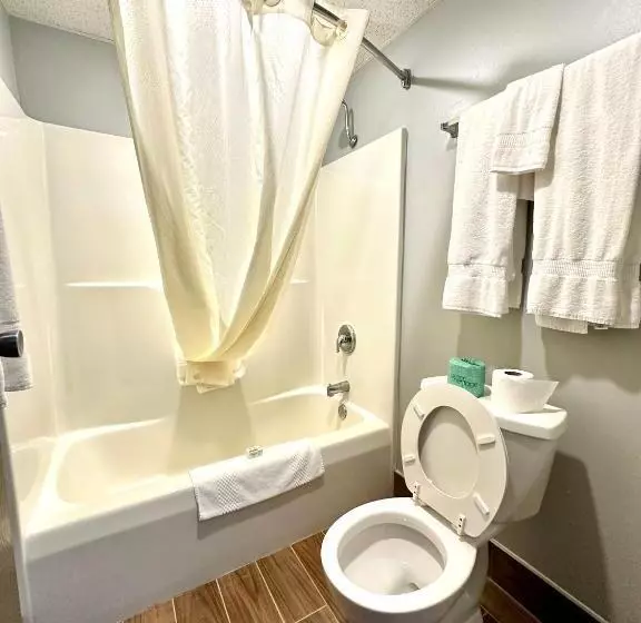 Standard-huone King-vuode, Americinn & Suites By Wyndham Baraboo Event Center