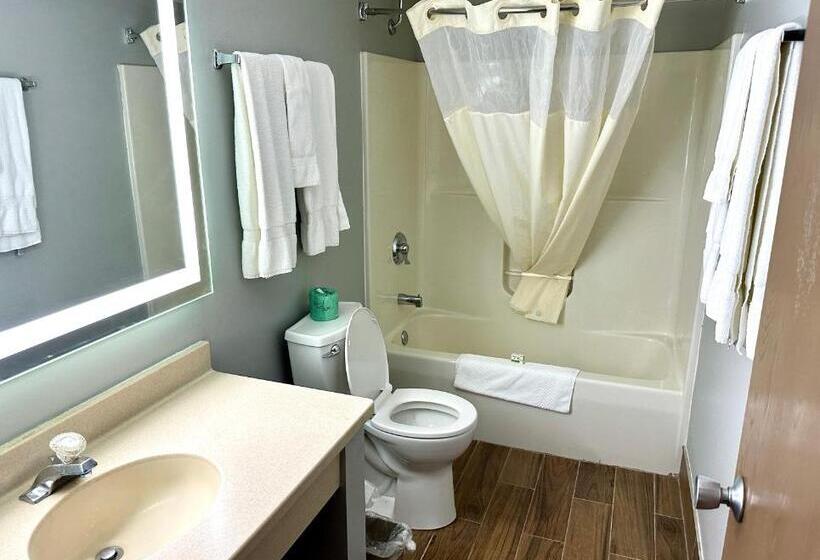 带大床的套房, Americinn & Suites By Wyndham Baraboo Event Center