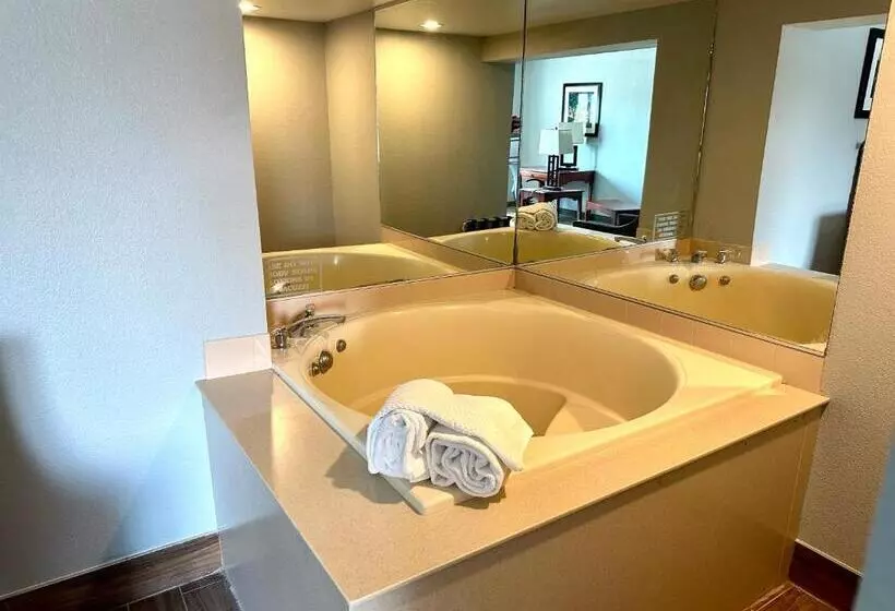 Sviitti King-vuode, Americinn & Suites By Wyndham Baraboo Event Center