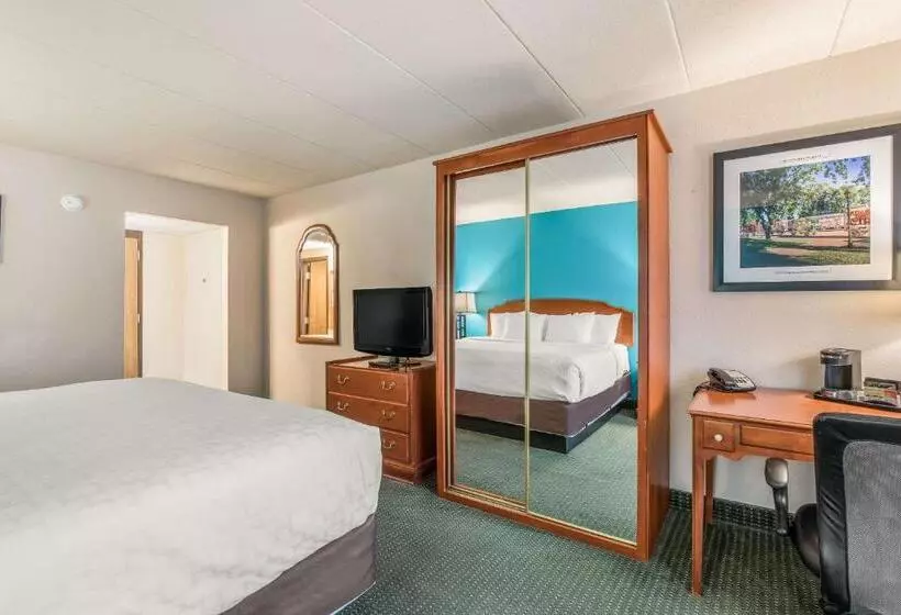 Standard-huone King-vuode, Americinn & Suites By Wyndham Baraboo Event Center