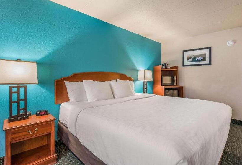 غرفة قياسية سرير كينج, Americinn & Suites By Wyndham Baraboo Event Center