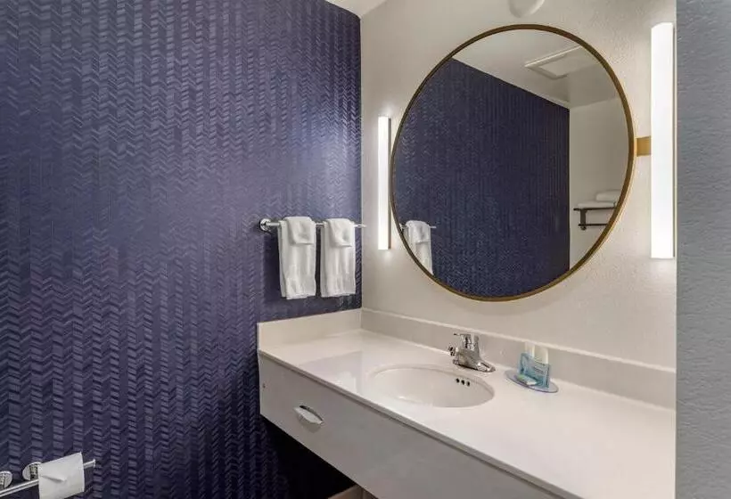 キングサイズベッドのスタンダードルーム, Fairfield Inn & Suites Cherokee