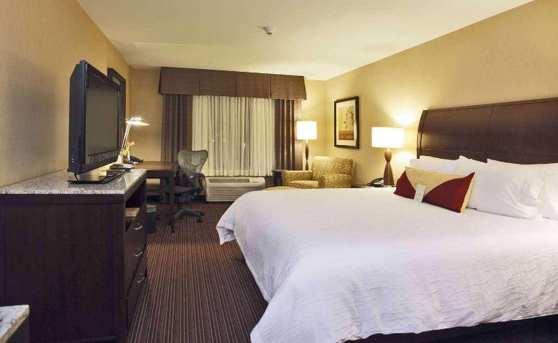 스탠다드 룸 킹사이즈 침대, Hilton Garden Inn Clovis