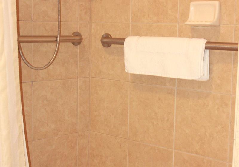 带大床的标准间, Hilton Garden Inn Clovis