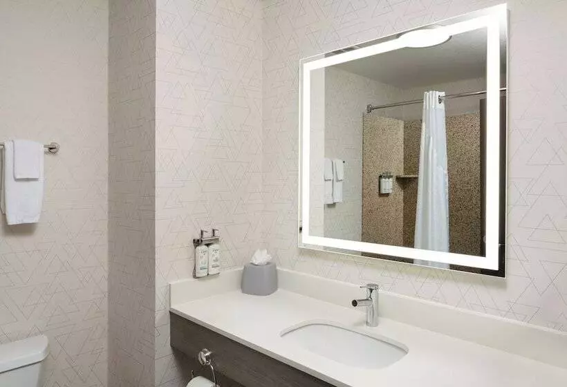 Sviitti, Holiday Inn Express Hotel & Suites Cherry Hills, An Ihg