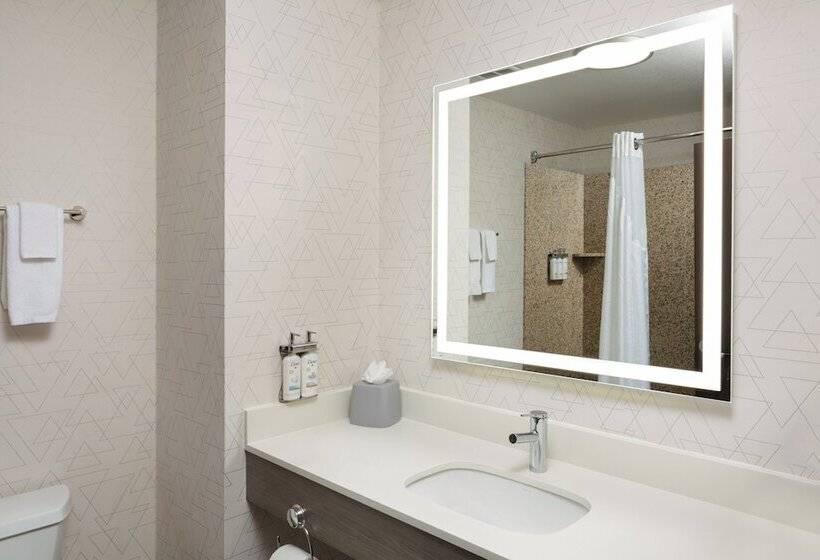 身障者適用スタンダードルーム, Holiday Inn Express Hotel & Suites Cherry Hills, An Ihg