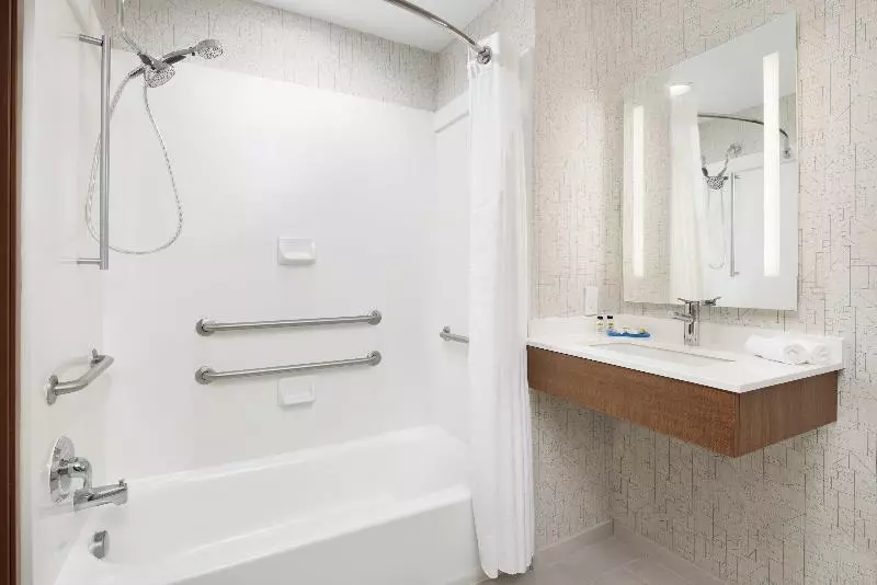 身障者適用キングサイズベッドルーム, Holiday Inn Express Hotel & Suites Salem, An Ihg