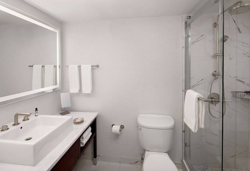 Standard Szoba 2 Franciaággyal, Hyatt Regency Morristown