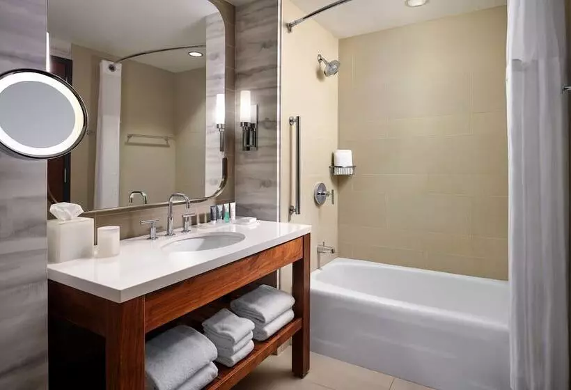 景色の見えるダブルベッドスタンダードルーム, Jw Marriott Indianapolis