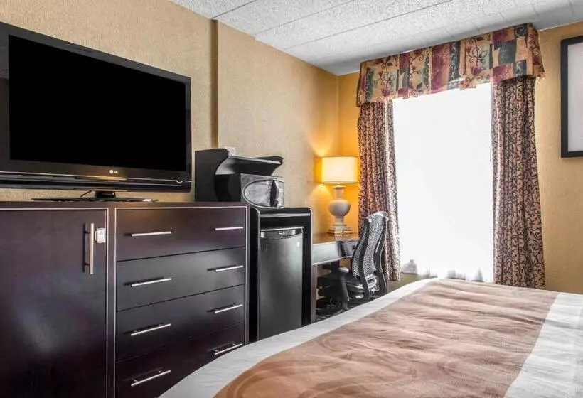キングサイズベッドのスタンダードルーム, Quality Inn