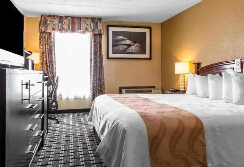 キングサイズベッドのスタンダードルーム, Quality Inn