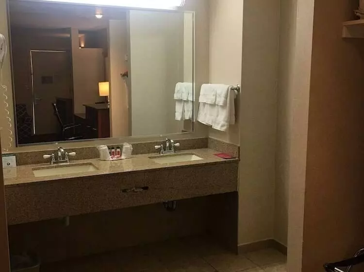 スタンダードスタジオ, Ramada By Wyndham Rockville Centre