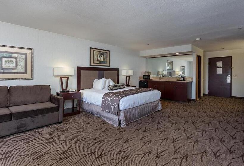 Стандартный Номер Кровать Кинг, Shilo Inns Idaho Falls