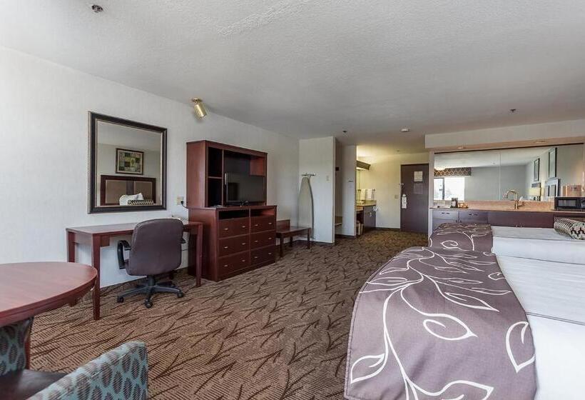 Номер Стандарт Вид на Реку, Shilo Inns Idaho Falls