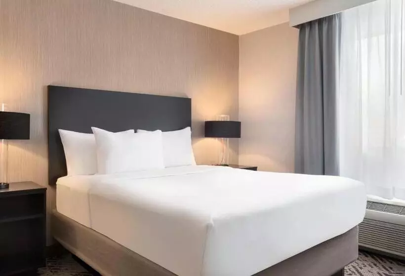 スタンダードルーム, The Clover Hotel, Ascend Hotel Collection