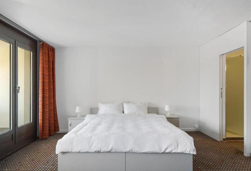 غرفة سوبيريور, Neuchatel City