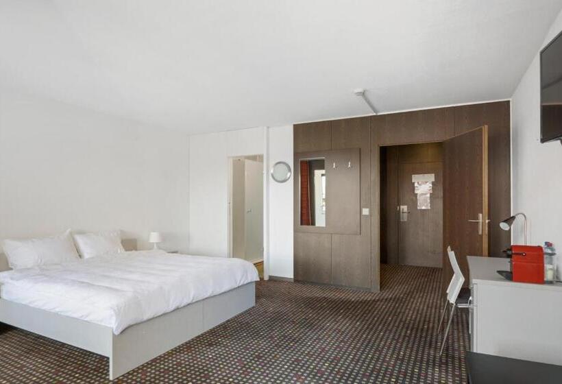 غرفة سوبيريور, Neuchatel City