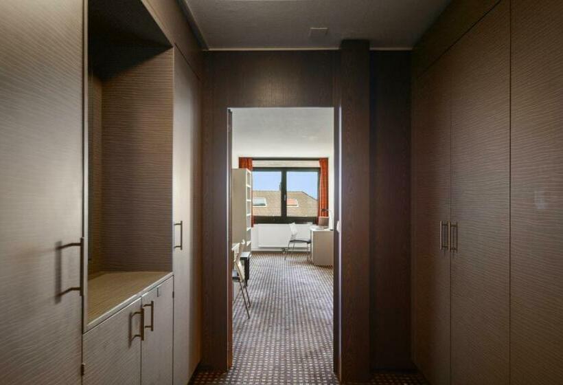 غرفة سوبيريور, Neuchatel City