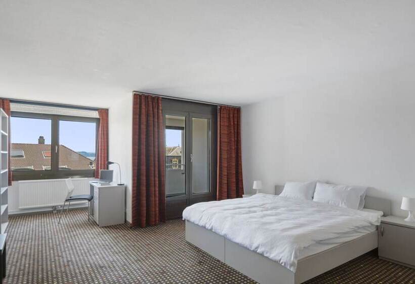 غرفة سوبيريور, Neuchatel City