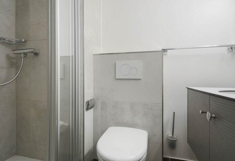 غرفة سوبيريور فردية, Neuchatel City