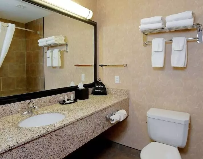 اتاق استاندارد با وان آب گرم, Best Western Blairmore