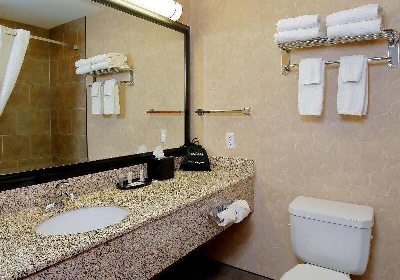 חדר סטנדרט עם מיטת קינג, Best Western Blairmore