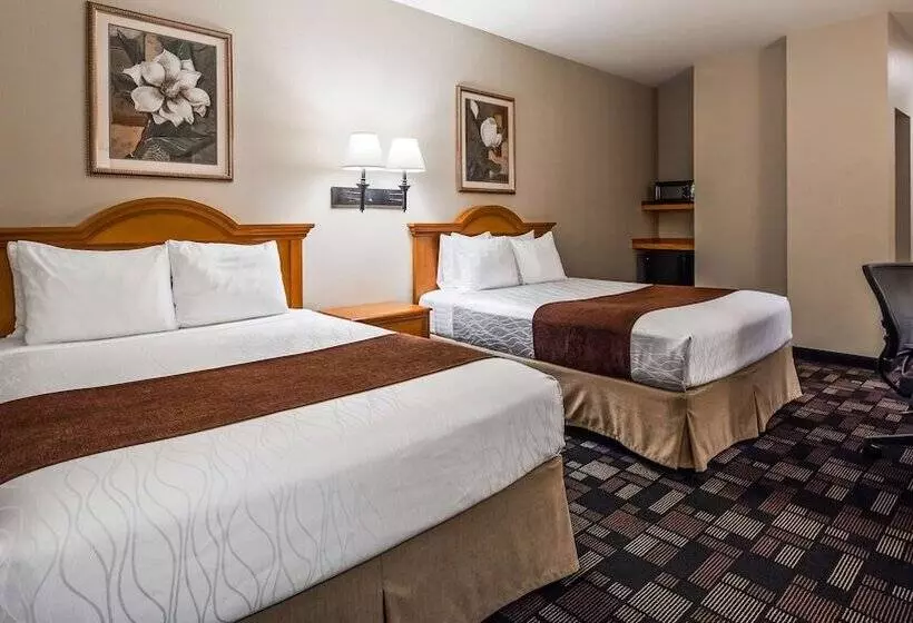 اتاق استاندارد با 2 تخت دوبل, Best Western Longview