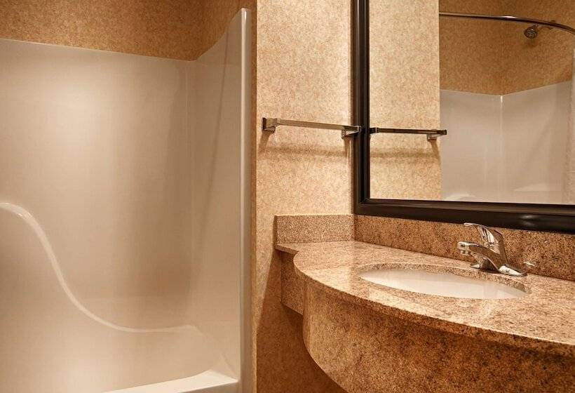 غرفه قياسيه سريرين مزدوجين, Best Western Longview