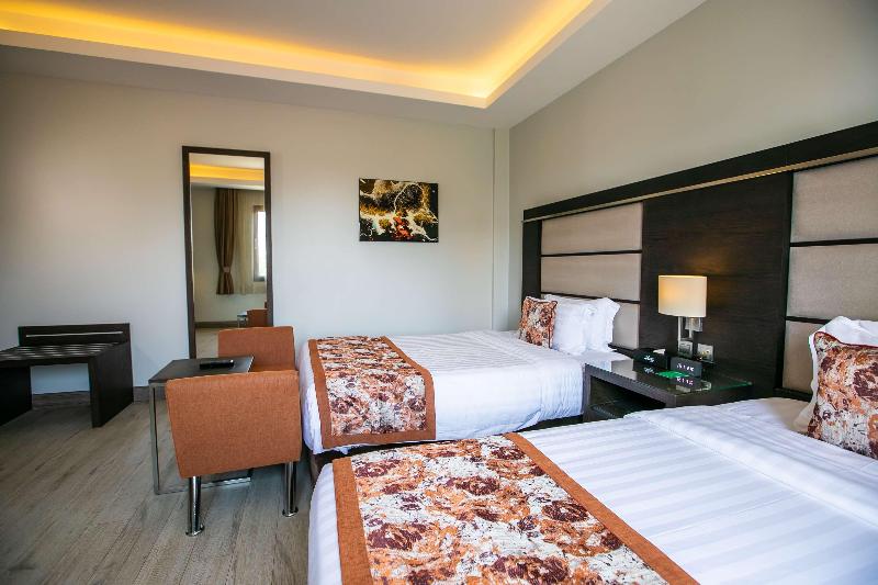 스탠다드 룸, Best Western Plus Amedia Wien