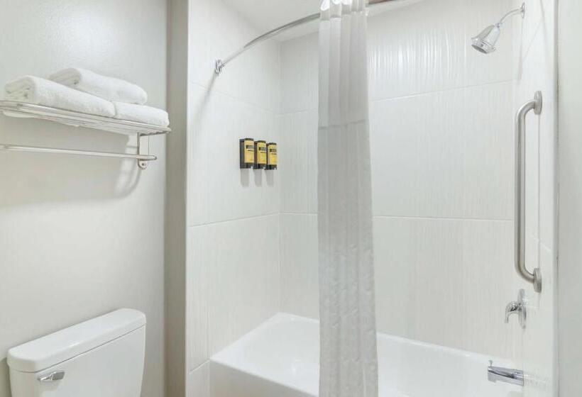 جناح جونيور, Best Western Plus Edinburg Inn & Suites