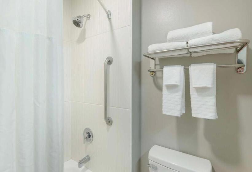 جناح جونيور سرير كينج, Best Western Plus Edinburg Inn & Suites