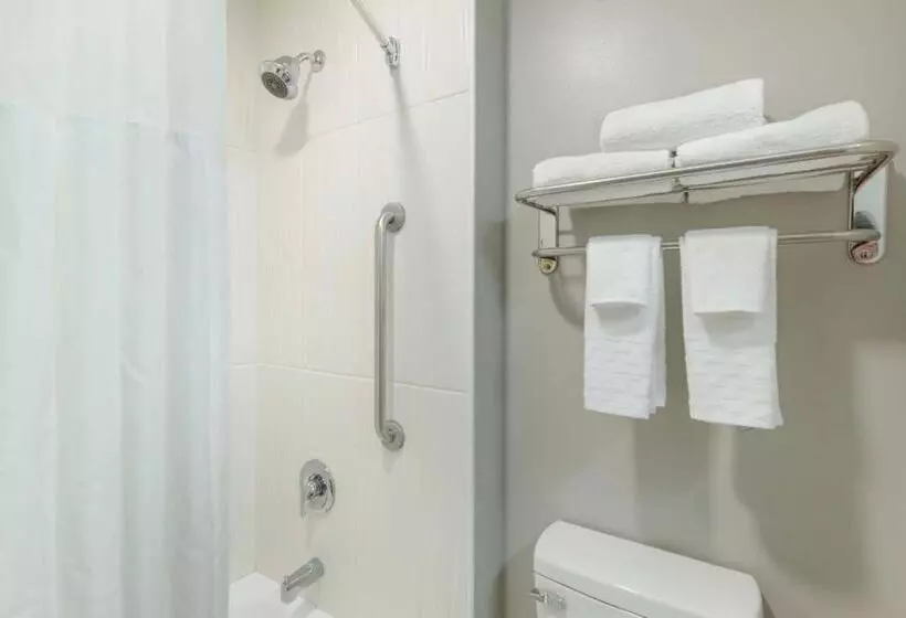 キングサイズベッドのジュニアスイート, Best Western Plus Edinburg Inn & Suites
