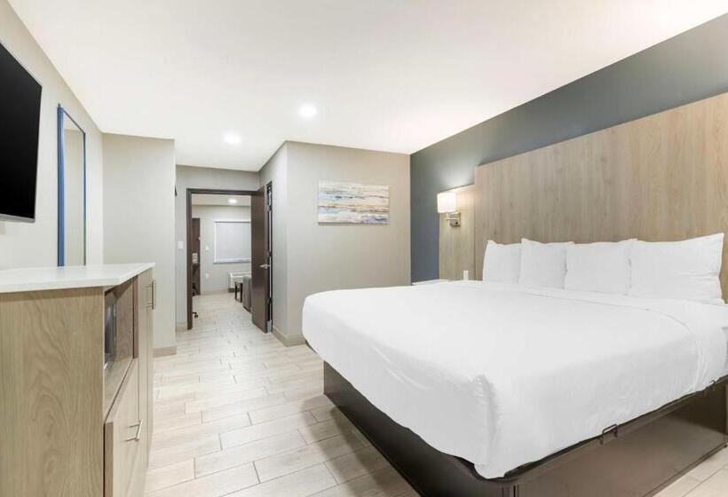 جناح جونيور سرير كينج, Best Western Plus Edinburg Inn & Suites