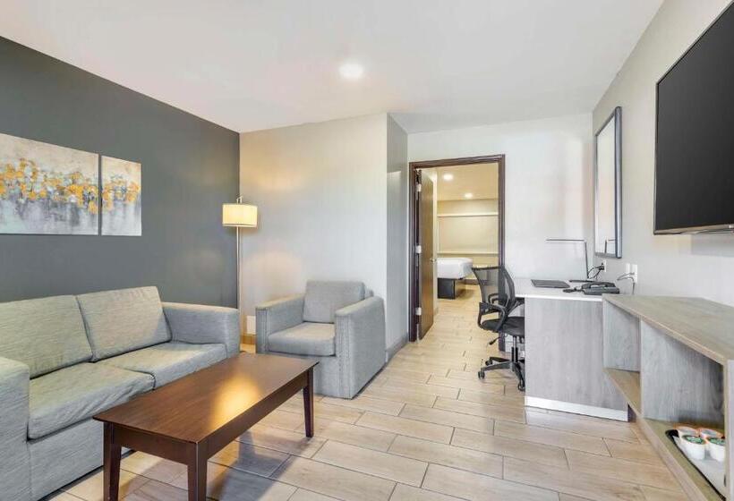 Полулюкс Кровать Кинг, Best Western Plus Edinburg Inn & Suites