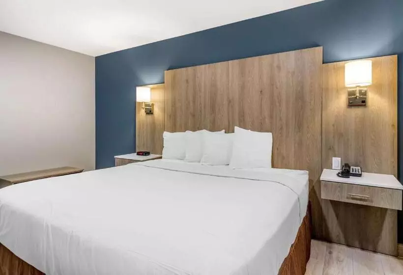 キングサイズベッドのスタンダードルーム, Best Western Plus Edinburg Inn & Suites