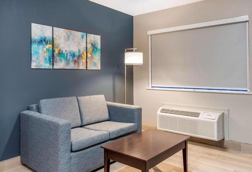 غرفة قياسية سرير كينج, Best Western Plus Edinburg Inn & Suites